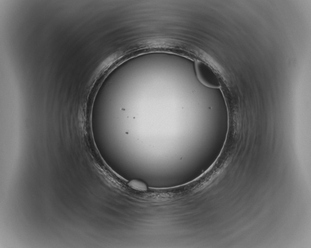 X0000116620930200912111153