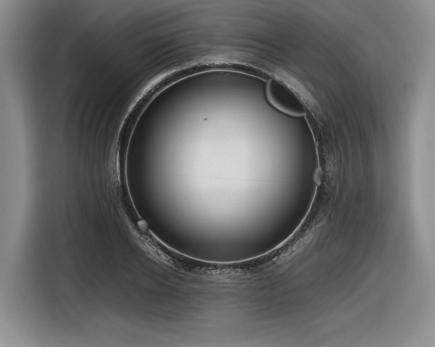 X0000116620934200912111153