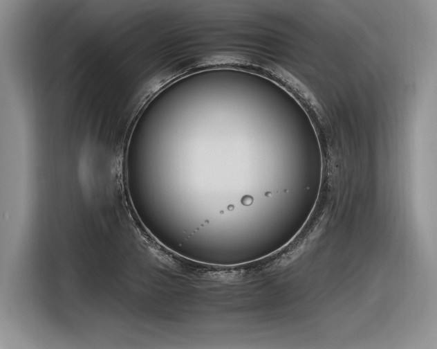 X0000116620937200912111153