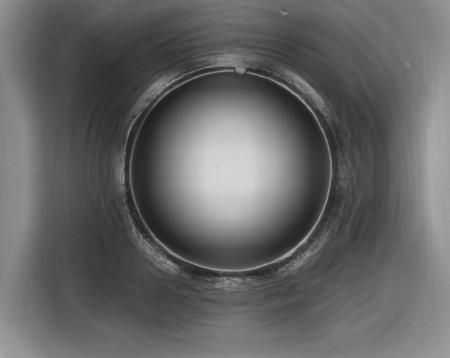 X0000116620938200912111153