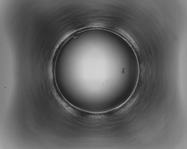 X0000116620939200912111153