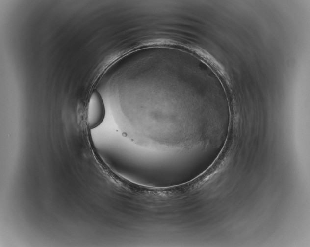 X0000116620945200912111153