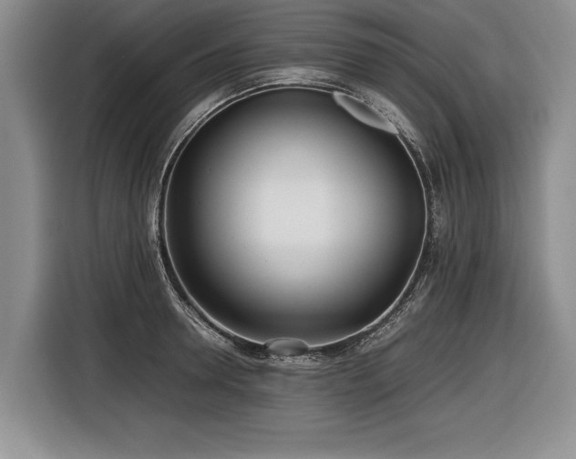 X0000116620946200912111153