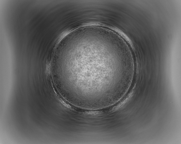 X0000116620953200912111153