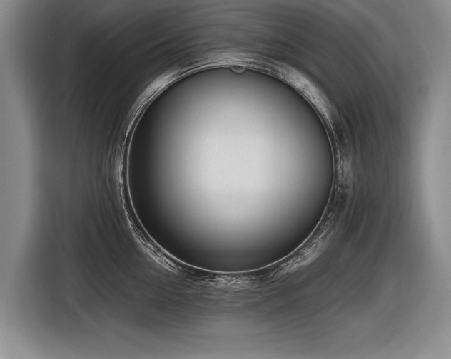 X0000116620954200912111153