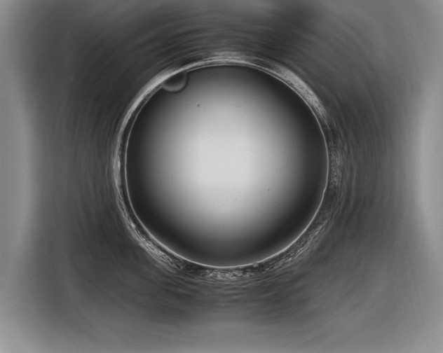 X0000116620955200912111153