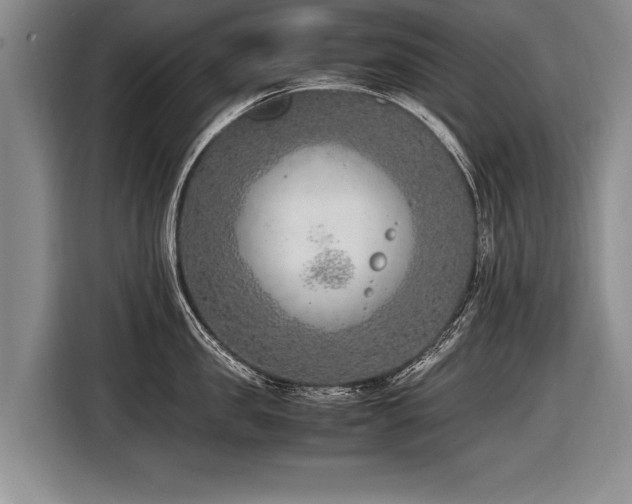 X0000116620957200912111154