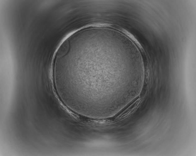 X0000116620959200912111154