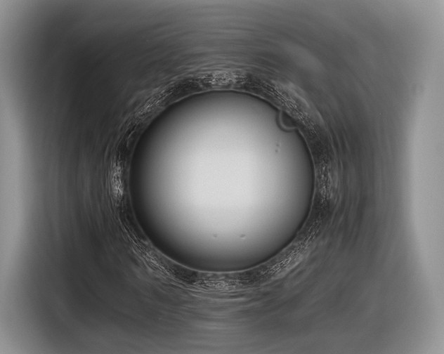 X0000116620962200912111153