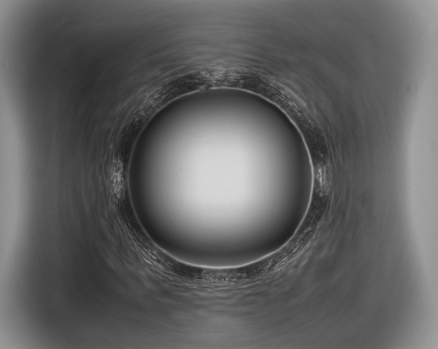 X0000116620963200912111153