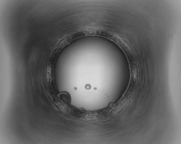 X0000116620964200912111153