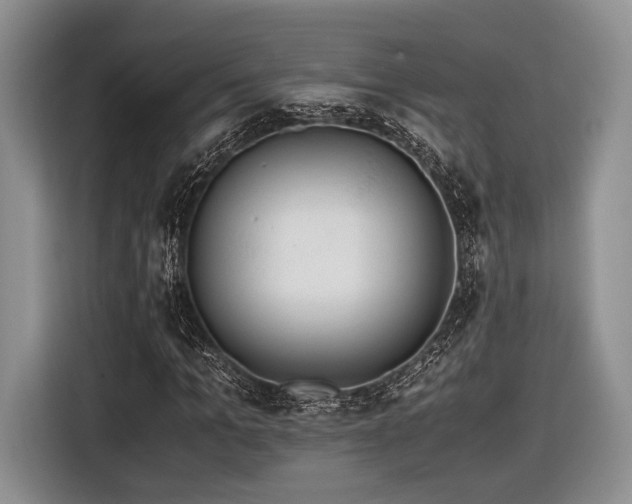 X0000116620965200912111153