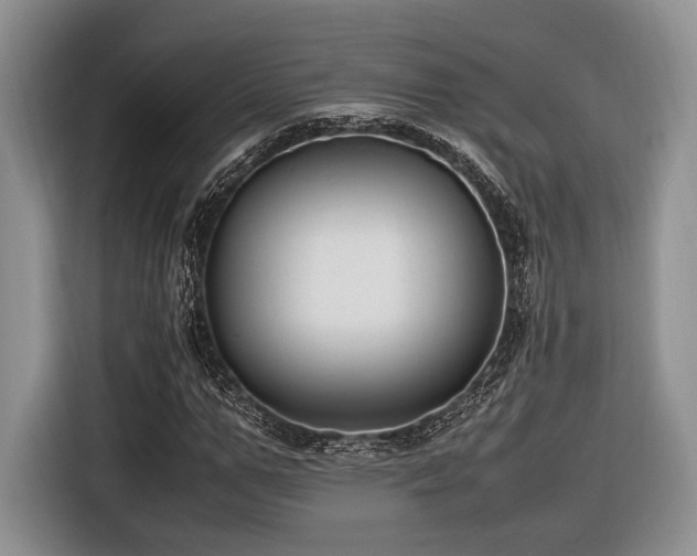 X0000116620967200912111153