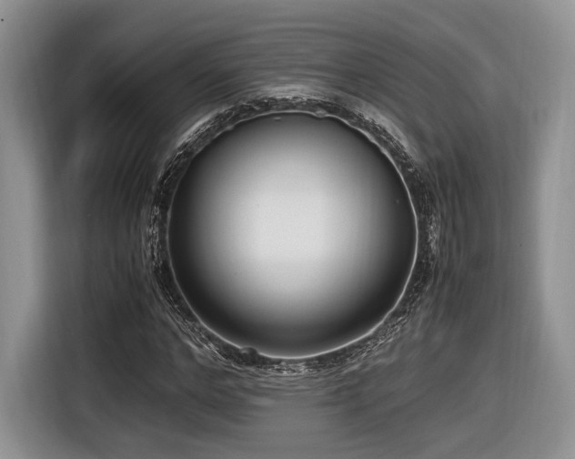 X0000116620968200912111153