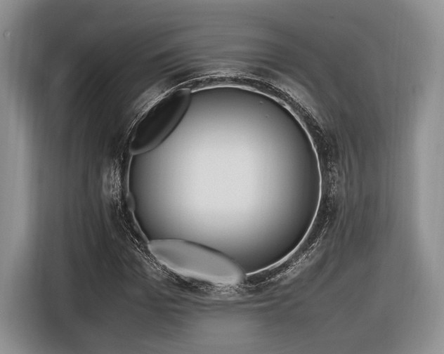 X0000116620969200912111153
