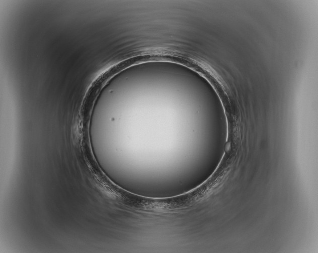 X0000116620971200912111153