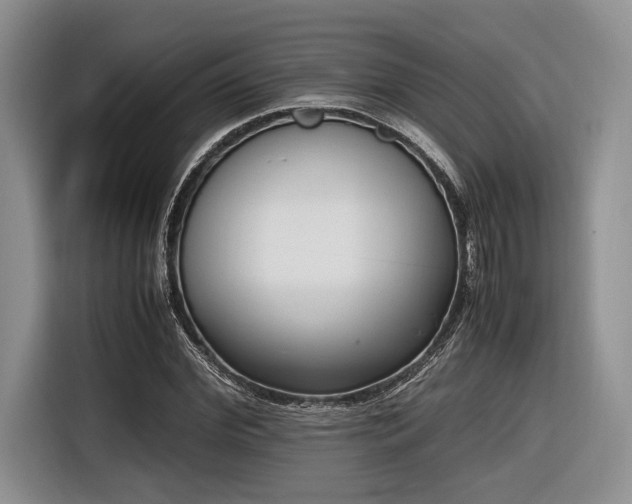 X0000116620972200912111153