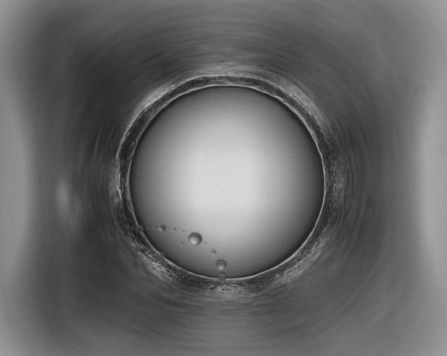 X0000116620974200912111153