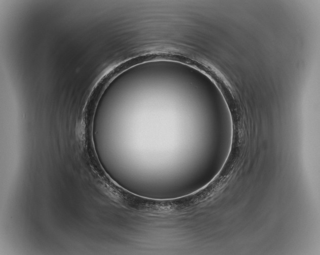 X0000116620975200912111153