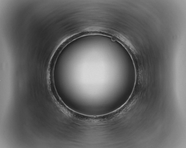 X0000116620976200912111153