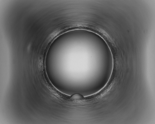 X0000116620977200912111153