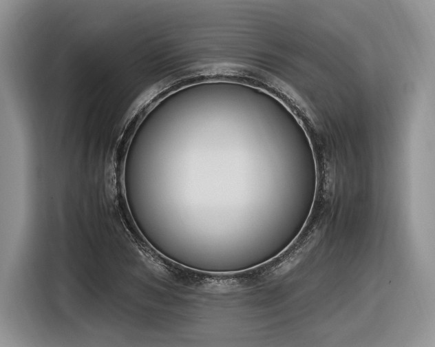 X0000116620978200912111153