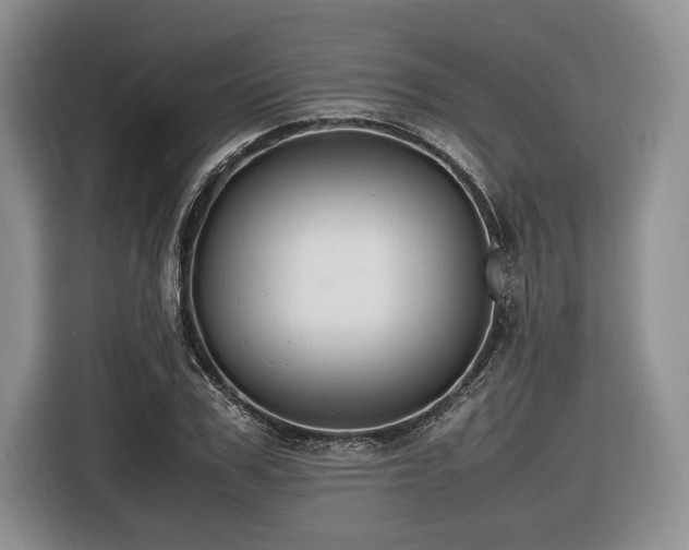 X0000116620979200912111153