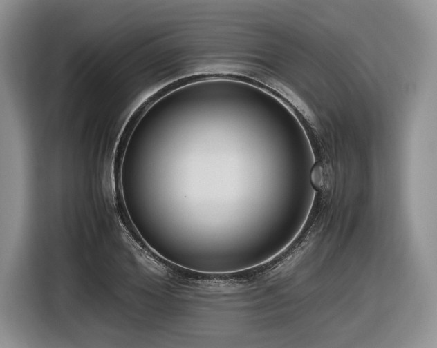 X0000116620980200912111153