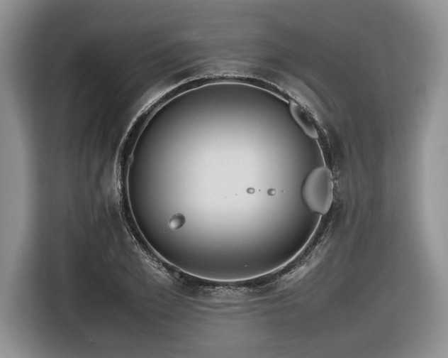 X0000116620981200912111153