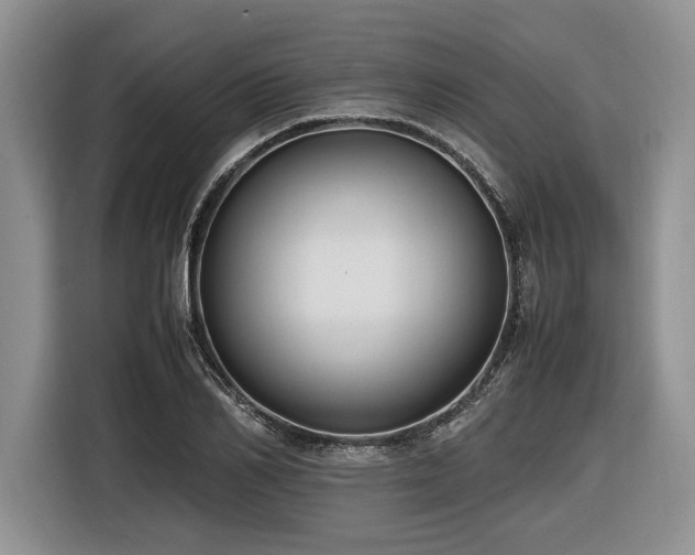 X0000116620982200912111153