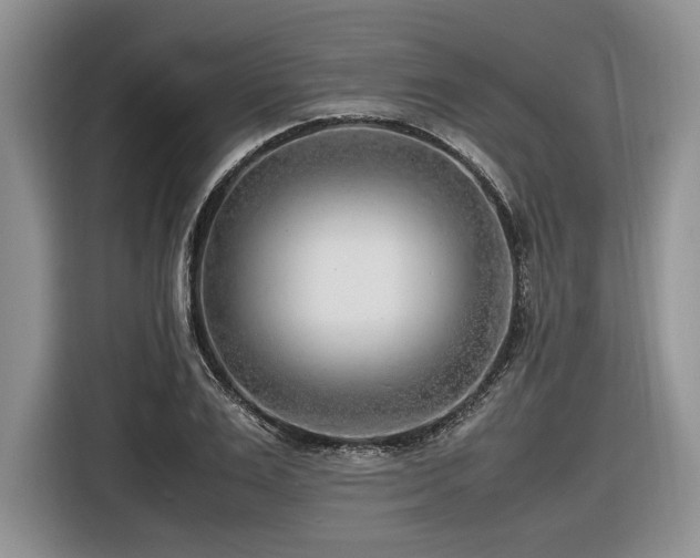 X0000116620983200912111153