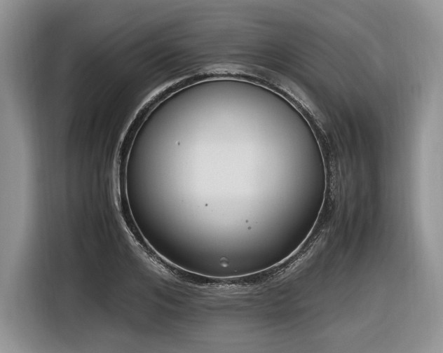 X0000116620984200912111153