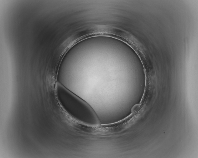 X0000116620985200912111153