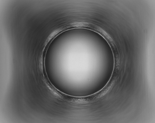 X0000116620986200912111153