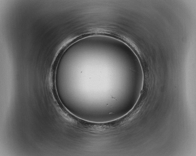 X0000116620987200912111153