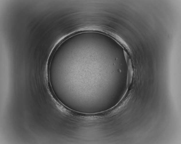 X0000116620988200912111153