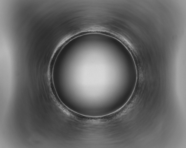 X0000116620990200912111153