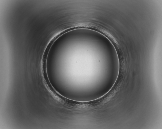 X0000116620991200912111153