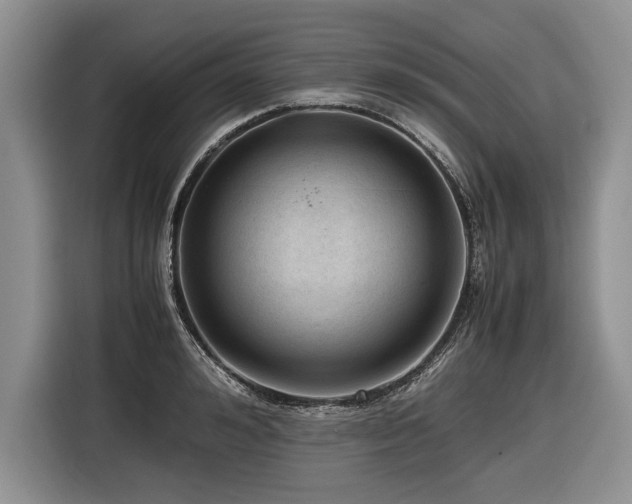 X0000116620992200912111153
