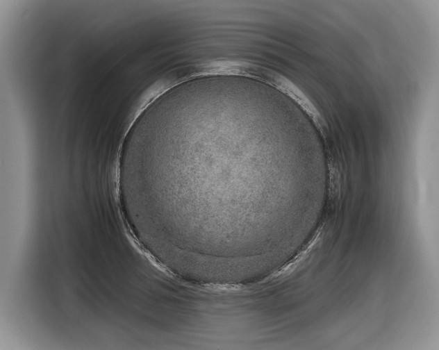 X0000116620994200912111152