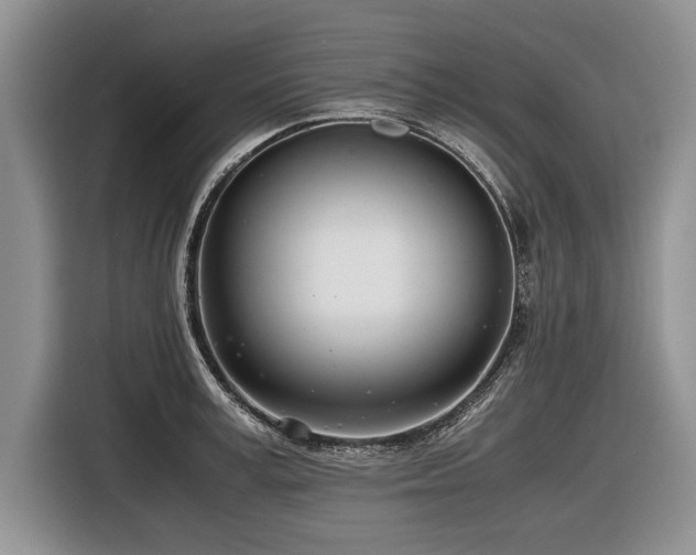 X0000116620995200912111152