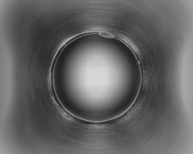 X0000116620996200912111152