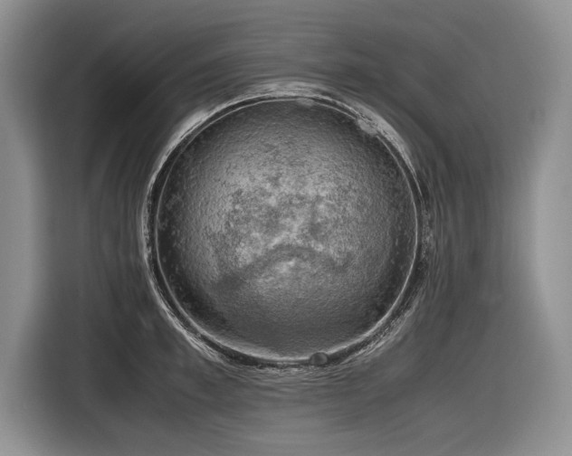 X0000116620997200912111152