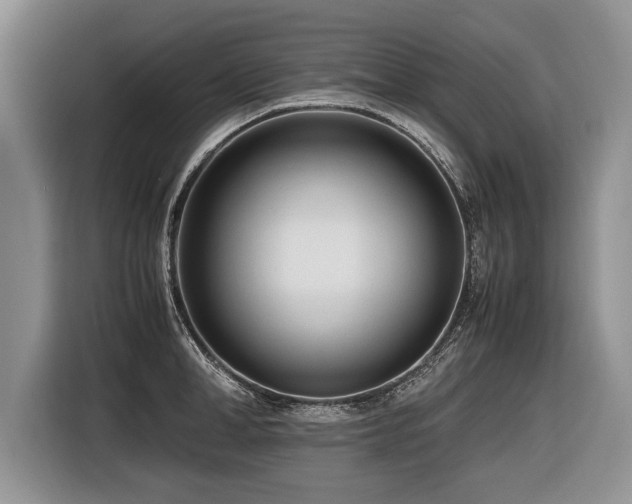 X0000116620998200912111152