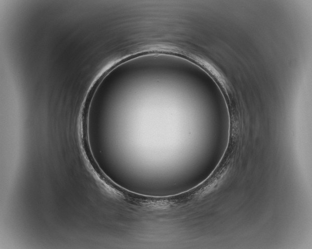 X0000116620999200912111152