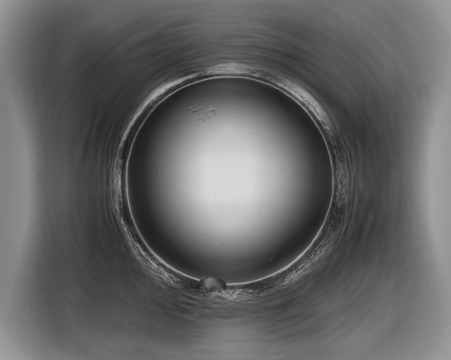 X0000116621000200912111152