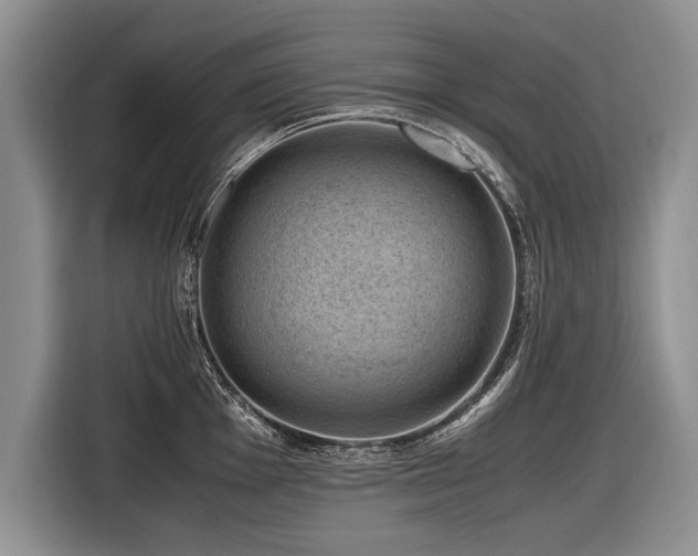 X0000116621001200912111152