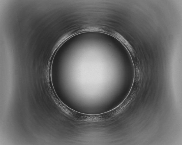 X0000116621002200912111152