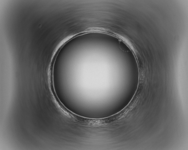 X0000116621003200912111152