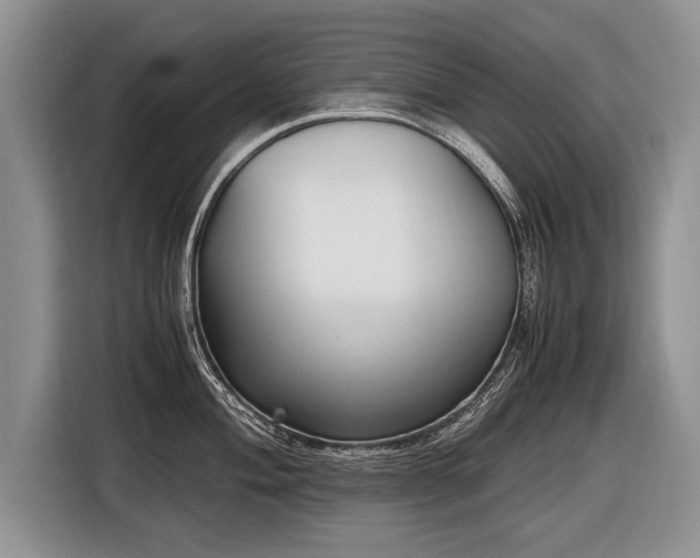 X0000116621004200912111152
